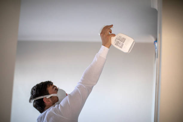 Crawl Space Mold Removal in Green Village, NJ